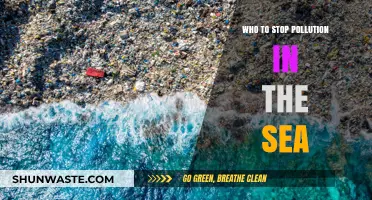 Combating Marine Pollution: Effective Strategies to Protect Our Oceans