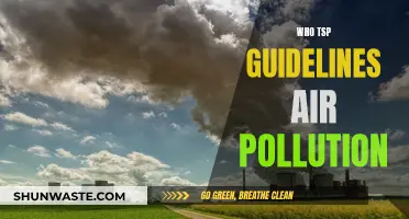 TSP Pollution: Understanding TSP Guidelines and Air Quality
