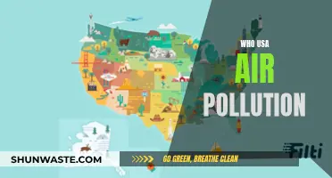 Air Pollution: Who Suffers Most in the USA?