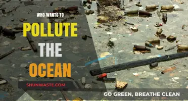 Who Profits from Polluting Our Oceans? Uncovering the Culprits