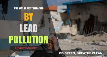 Lead Pollution's Silent Victims: Who Bears the Heaviest Burden?