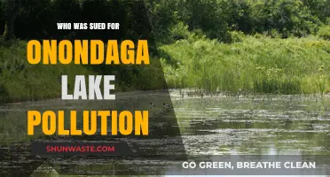 Who Was Sued for Polluting Onondaga Lake? The Legal Battle