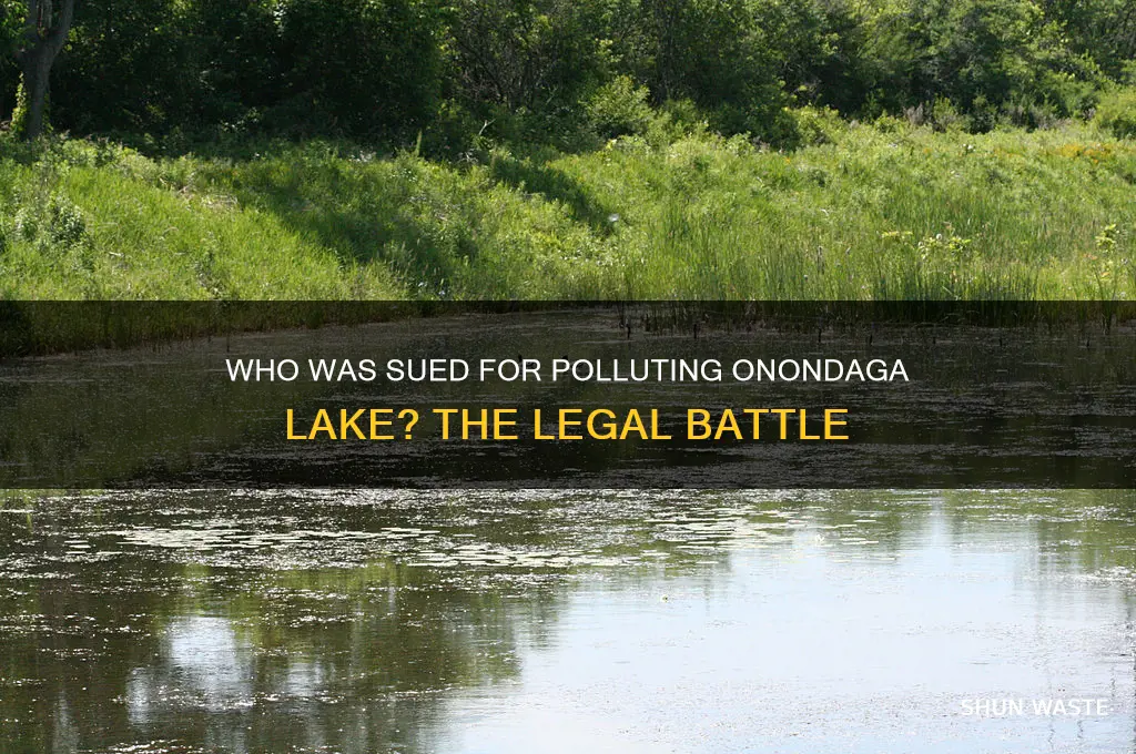 who was sued for onondaga lake pollution