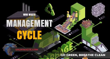 Sustainable Solutions: The Journey of Waste Management Cycle