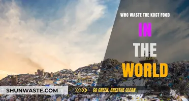 Global Food Waste: Which Countries Are the Biggest Culprits?
