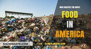America's Food Waste Crisis: Who's Contributing the Most?