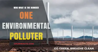 Unveiling the Top Environmental Polluter: A Global Crisis Explored