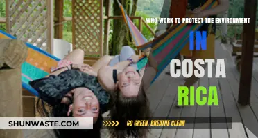 Costa Rica's Eco-Guardians: Uniting to Preserve a Green Paradise