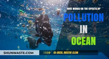 Ocean Pollution Researchers: Unveiling the Impact on Marine Ecosystems