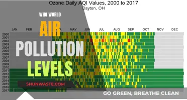 Air Pollution: WHO's Global Report