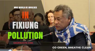 Uniting Forces: Key Players in the Fight Against Pollution Crisis