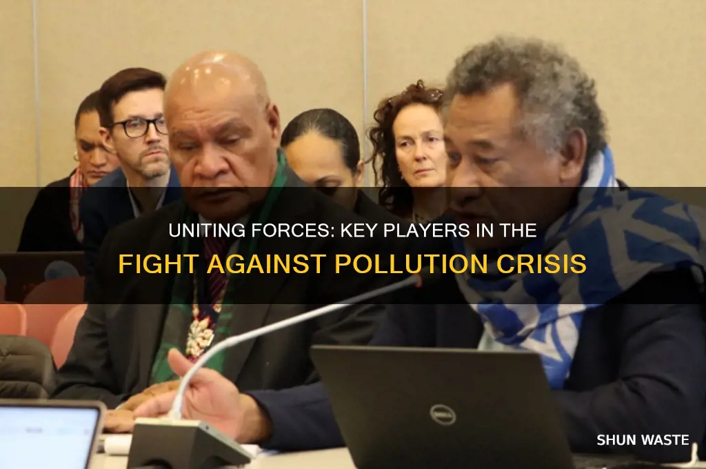 who woulb be involved in fixiung pollution