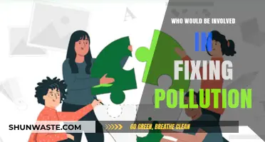 Uniting Stakeholders: Who's Responsible for Tackling Pollution Solutions?