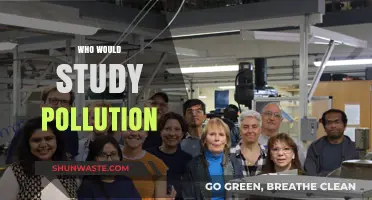 Exploring Pollution: Who Studies It and Why It Matters