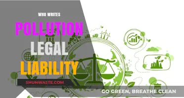 Understanding Pollution Legal Liability: Who Writes the Rules and Why?