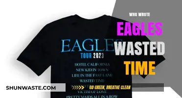 Unveiling the Lyricist Behind Eagles' 'Wasted Time