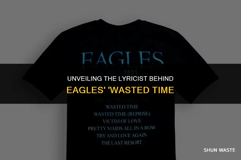 who wrote eagles wasted time