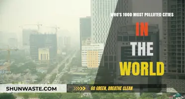 Unveiling the World's Most Polluted Cities: A Global Air Quality Crisis