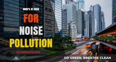 Noise Pollution Risks: Identifying Vulnerable Populations and Their Exposure