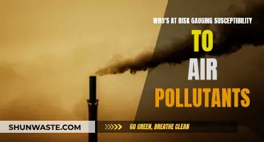Air Pollution: Who's at Risk and Why?