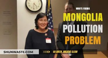 Tackling Mongolia's Pollution Crisis: Who's Leading the Cleanup Efforts?