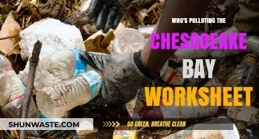 Unveiling the Culprits Behind Chesapeake Bay's Pollution Crisis