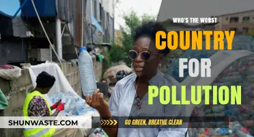 Global Pollution Crisis: Which Nation Tops the Environmental Offender List?