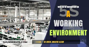 Enhancing Workplace Efficiency: The Critical Importance of 5S Implementation