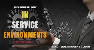 Six Sigma Success: Transforming Service Environments with Precision and Efficiency