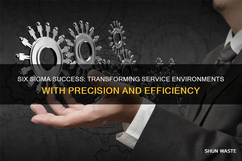 why 6 sigma will work in service environments