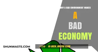 Toxic Surroundings, Toxic Economy: How Environment Shapes Economic Decline
