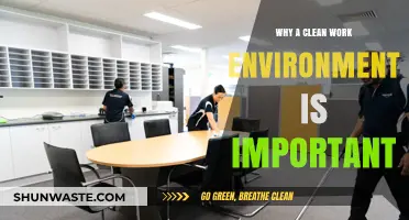 Boost Productivity and Well-Being: The Importance of a Clean Work Environment