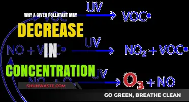 Understanding the Decline: Factors Behind Pollutant Concentration Reductions