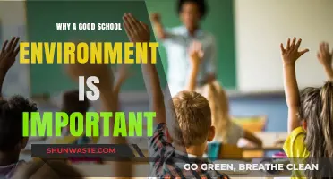 Fostering Growth: The Impact of a Positive School Environment on Students