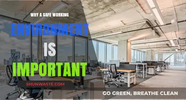 Creating Safe Workspaces: Boosting Productivity, Morale, and Employee Well-being