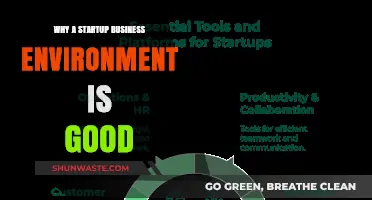 Thriving in Chaos: The Unique Benefits of Startup Business Environments