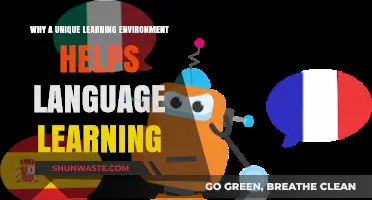 Unique Learning Environments: Boosting Language Acquisition and Retention Effectively