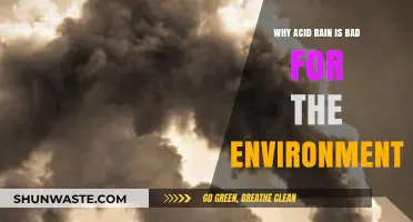 Acid Rain's Devastating Impact: Harming Ecosystems and Our Environment