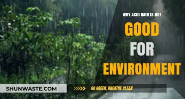 Acid Rain's Devastating Impact: Harming Ecosystems and Our Environment