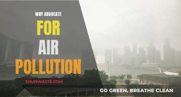 Air Pollution: Our Health, Our Fight