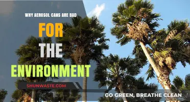 Aerosol Cans' Environmental Impact: Harmful Effects and Sustainable Alternatives