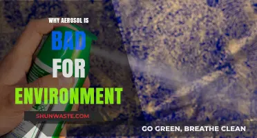 Aerosol's Environmental Impact: Harmful Effects and Sustainable Alternatives