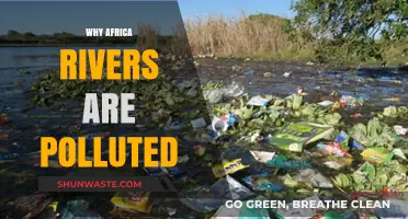 Africa's Rivers in Crisis: Causes and Consequences of Pollution