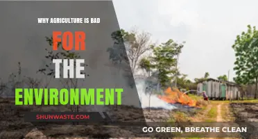 Agriculture's Environmental Impact: Uncovering the Hidden Costs of Farming