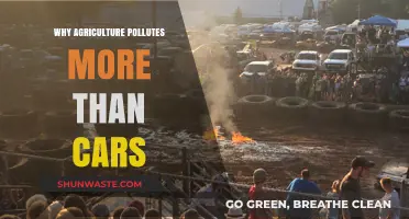 Agriculture's Hidden Impact: How Farming Pollutes More Than Cars