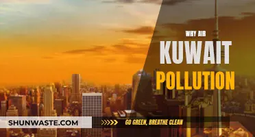 Kuwait's Air Pollution: Causes and Effects