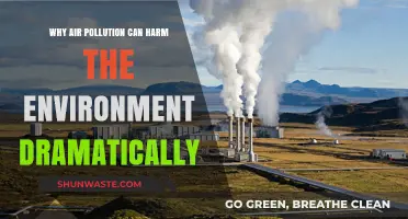 Air Pollution's Devastating Impact: A Global Environmental Crisis