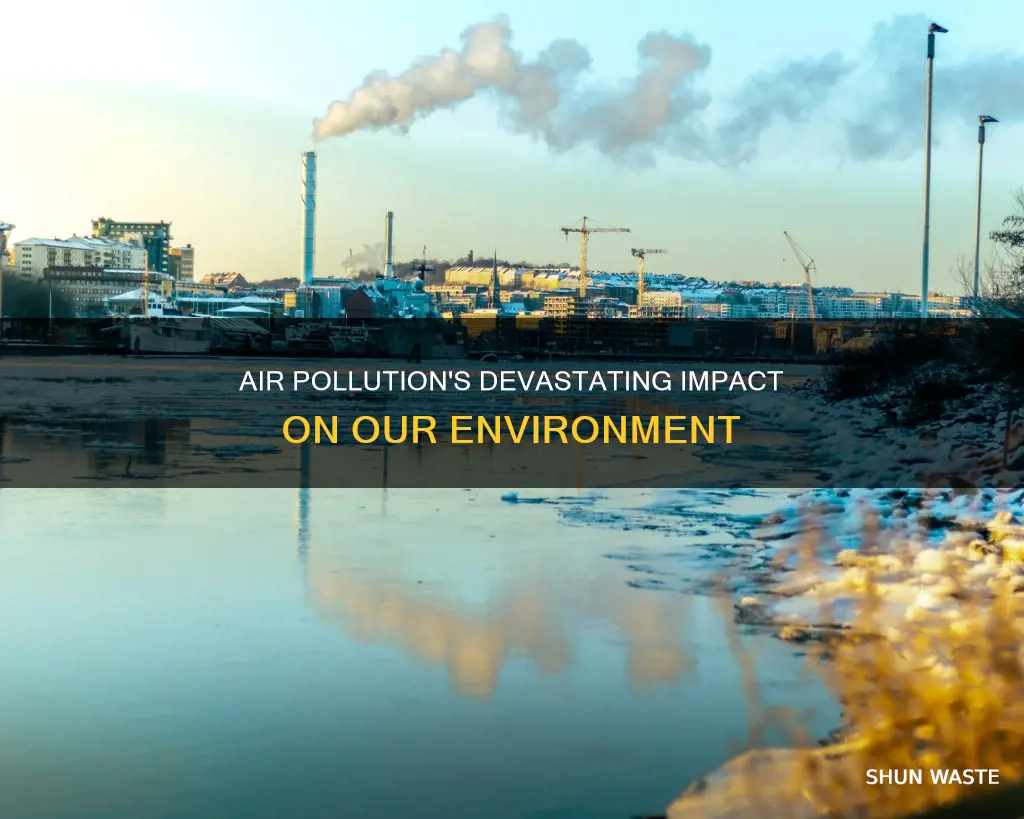 why air pollution can harm the environment dramatically