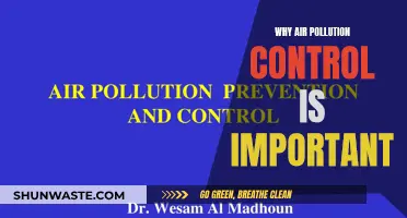 Air Pollution Control: Our Health Depends on It