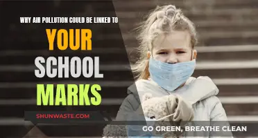 Air Pollution: Impacting Your Health and Academic Performance